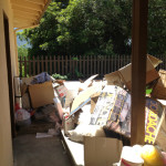 Backyard Trash